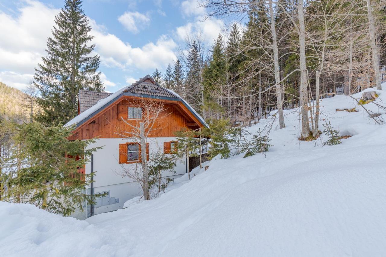 Apartma Gaja クランスカゴーラ エクステリア 写真